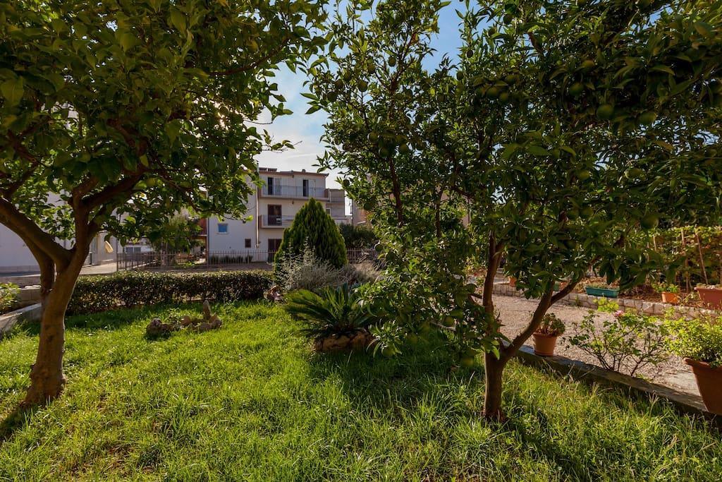 Apartmani Sanja Suta Подстрана Экстерьер фото